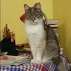 Отзыв от Зоя Спиридонова